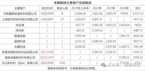 IPO审计警报 应收账款占比82%与第一大客户零社保数据背后揭示的财务风险